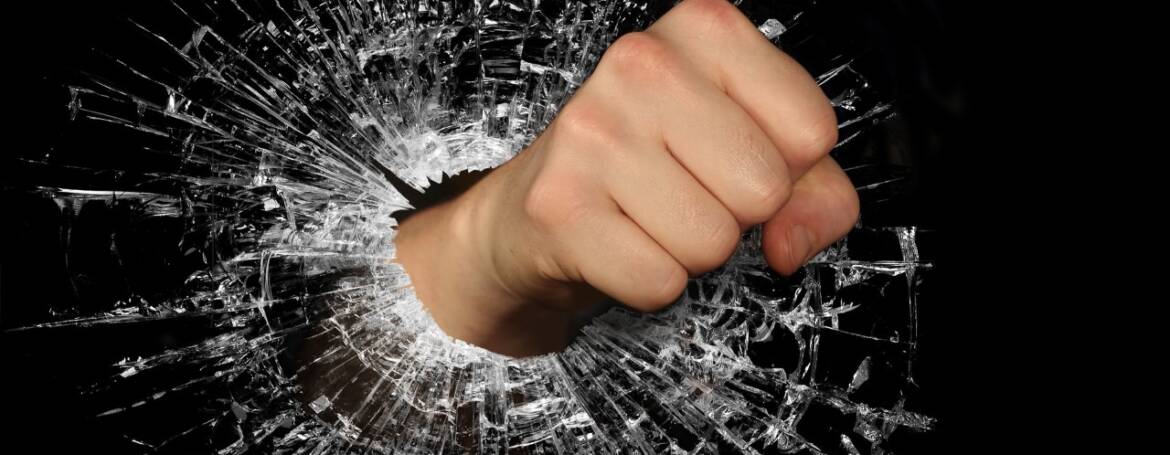 Circondarsi di Persone Positive e l’Enciclopedia Umana – Lady Vaiassa