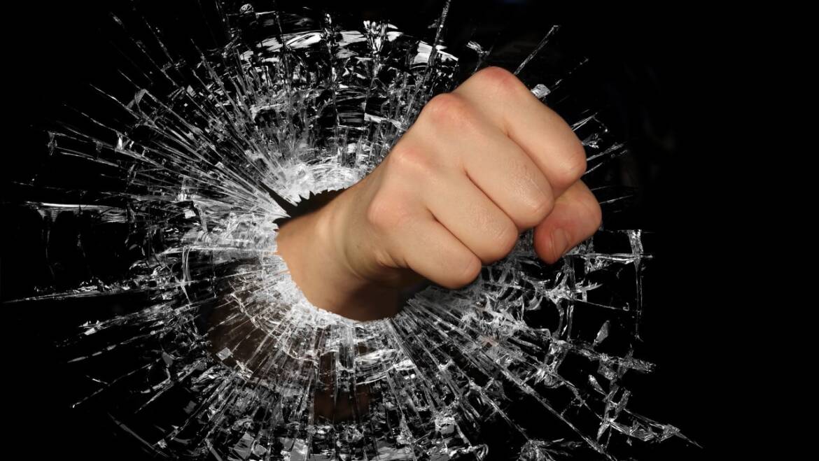 Circondarsi di Persone Positive e l’Enciclopedia Umana – Lady Vaiassa