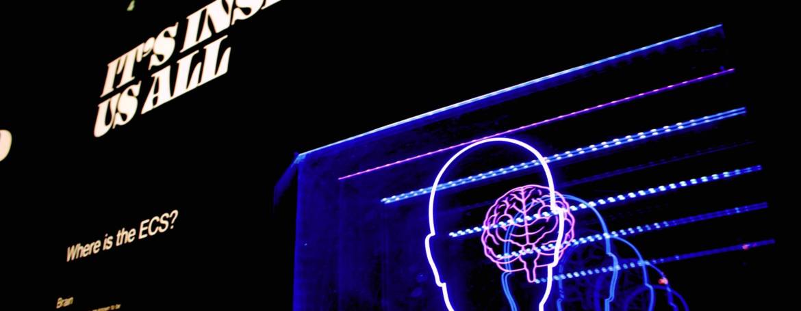 Il Narcisismo – Parte Quarta